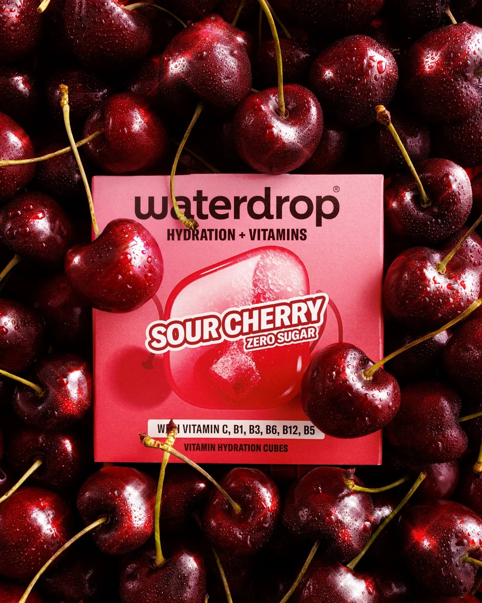 SOUR CHERRY